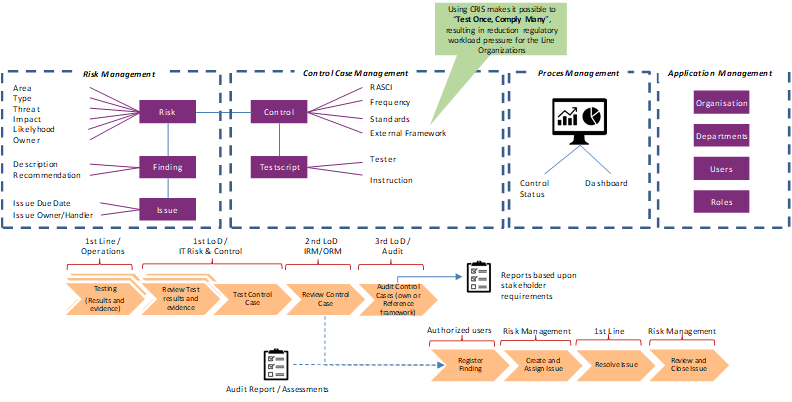 Control Risk & Improvement System